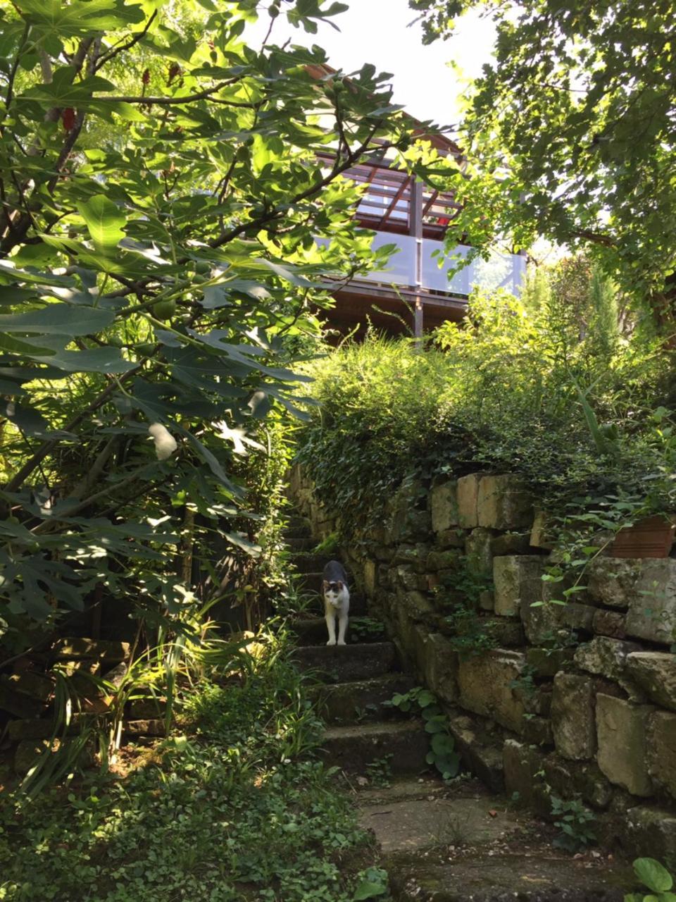 Pergola House In A Green Oasis With Fantastic View Leilighet Petrovaradin Eksteriør bilde