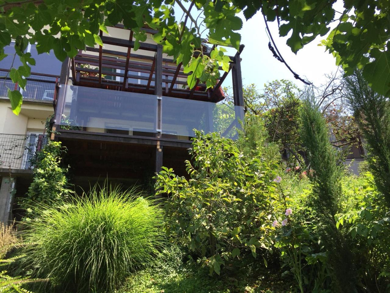 Pergola House In A Green Oasis With Fantastic View Leilighet Petrovaradin Eksteriør bilde