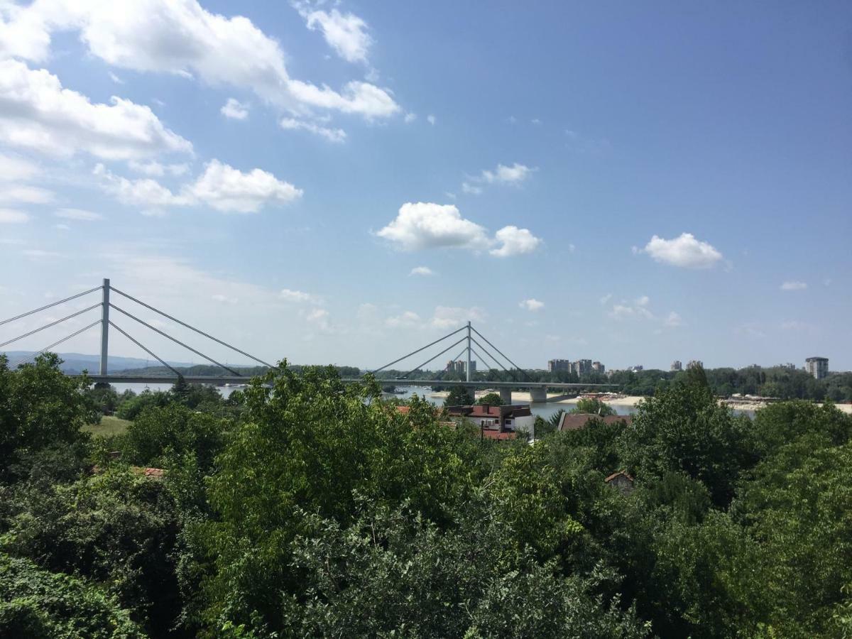 Pergola House In A Green Oasis With Fantastic View Leilighet Petrovaradin Eksteriør bilde