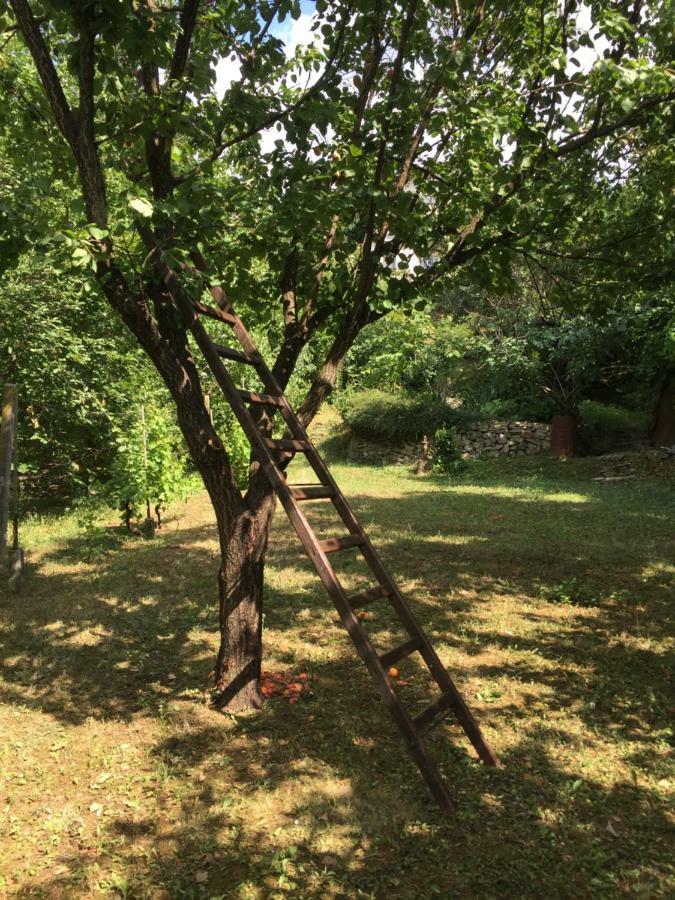 Pergola House In A Green Oasis With Fantastic View Leilighet Petrovaradin Eksteriør bilde