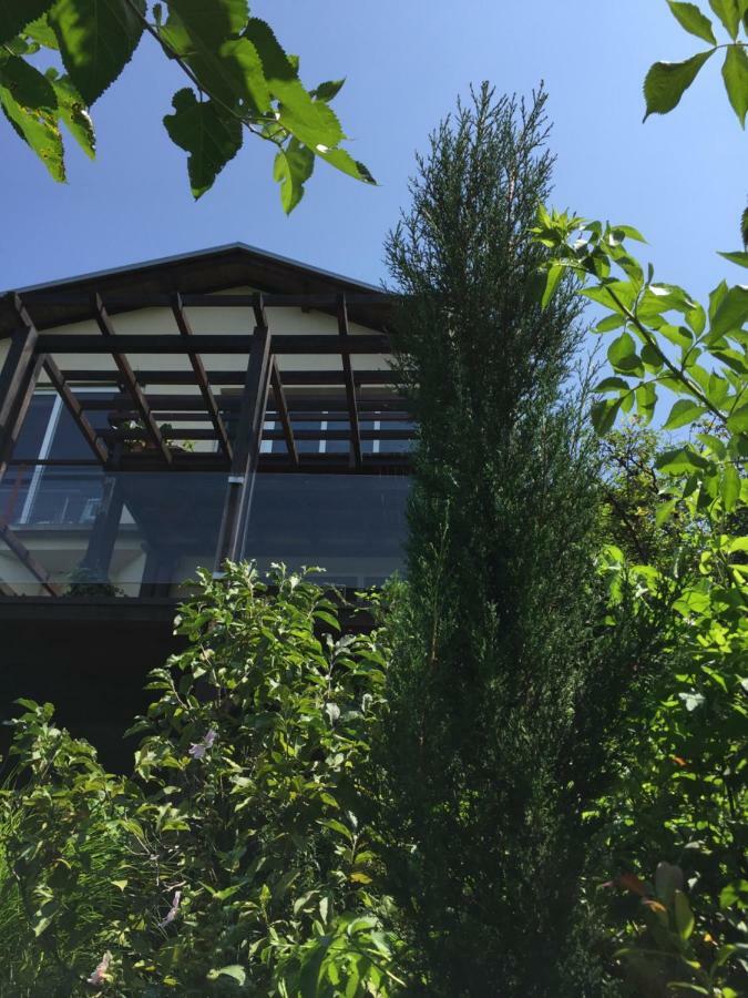 Pergola House In A Green Oasis With Fantastic View Leilighet Petrovaradin Eksteriør bilde
